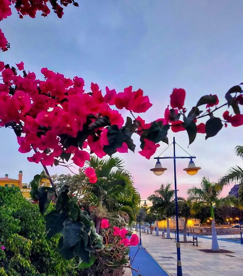 Vv Caracola Διαμέρισμα Puerto De Mogan